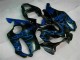 2001-2003 Blue Flames Honda CBR600 F4i Bike Fairings Canada 2001-2003 Blue Flames Honda CBR600 F4i Bike Fairings Canada
